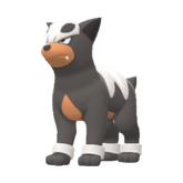 Buy Houndour in Brilliant Diamond & Shining Pearl